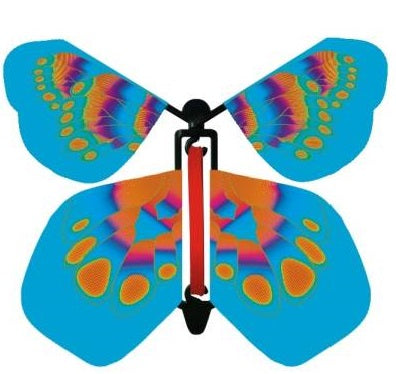 Butterfly Gender Reveal Surprise image 4