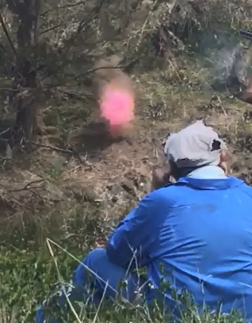 Clay Pigeon Gender Reveal Targets – Unique Outdoor Baby Reveal