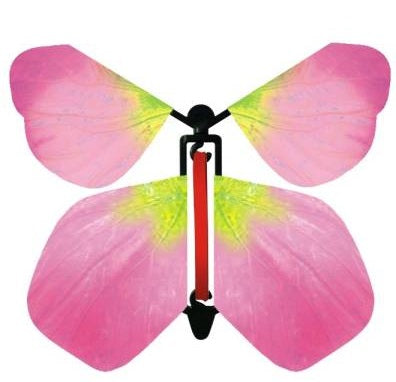 Butterfly Gender Reveal Surprise image 3