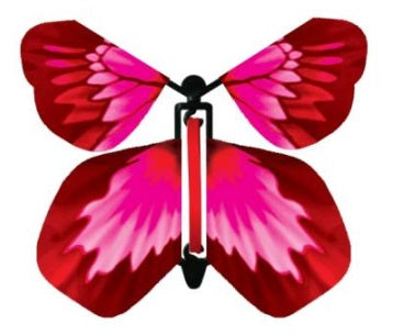 Butterfly Gender Reveal Surprise image 2