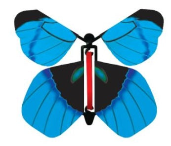 Butterfly Gender Reveal Surprise image 1