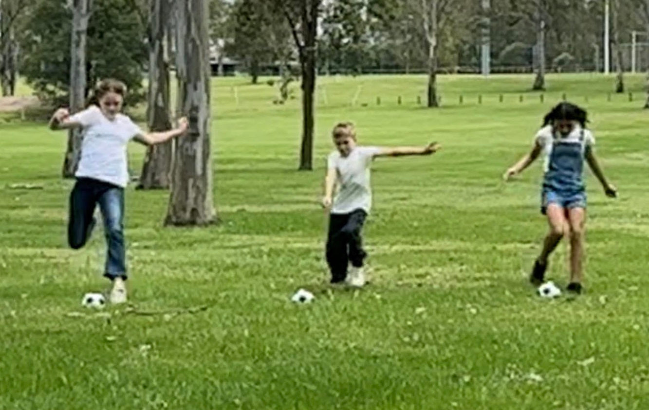 Gender Reveal Soccer Ball image 2